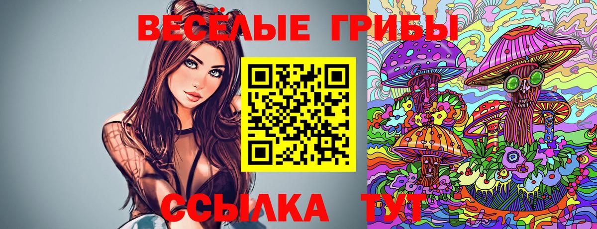 Псилоцибиновые грибы Cubensis Щёкино